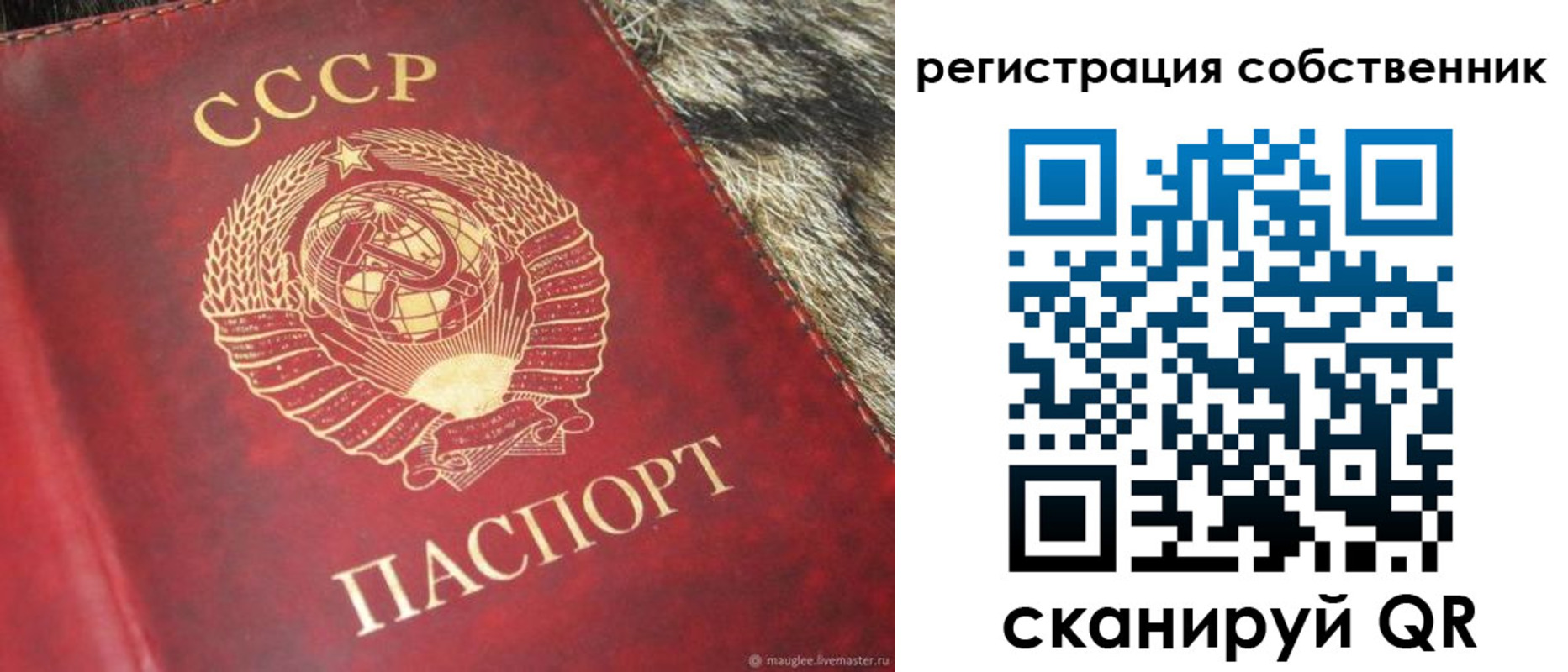 временная регистрация надежно в Петровск-Забайкальском
